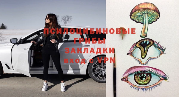 гидра Алексеевка